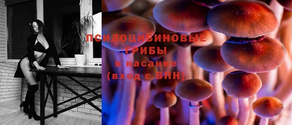 тгк Алзамай