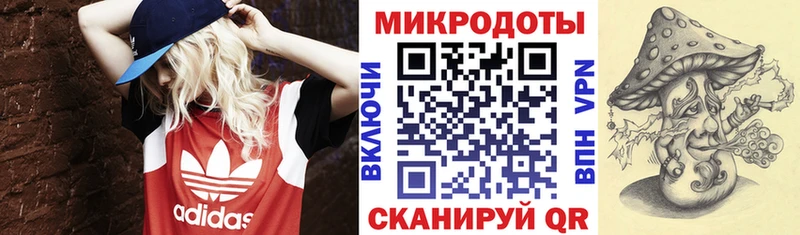 Галлюциногенные грибы прущие грибы  kraken сайт  Дорогобуж  купить  